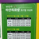 바닷가 하얀목화밭 이미지