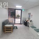 플러스파인