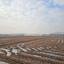 진흥농장2 이미지