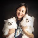 (주)반려동물털로덮인친구들 이미지