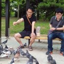 충만카센타 이미지