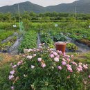 서룡공원(서룡A) 이미지