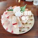 합정동 줄 서서 먹는 숙성회 맛집 :: 화도 시마아지 후기✨