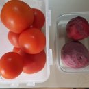 돈이농장 | [해랑이농장] 농장직거래 토마토 후기