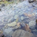 감천계곡 입구 이미지