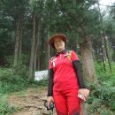 어비산 정상(829m) 이미지