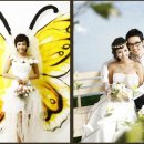 나비야 스튜디오 이미지