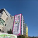 라인댄스 중급A | 2026 WCDF&amp;KSLDA 서울스타국제 라인댄스챔피언십대회🎉