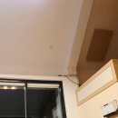 솔골펜션 이미지