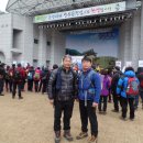 밀레 군산영동점 이미지