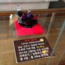 4358 | 진주여행 추천코스｜진주성 앞 운석빵 가격·맛 후기 (진주 기념품 추천)