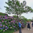 동광리-3 이미지