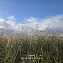 자연동산 이미지