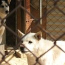 현명농장 이미지