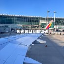 미야자키 | 인천에서 미야자키 아시아나 출입국 꿀팁 기내식 후기