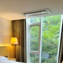 낙산비치호텔 멀티룸 이미지