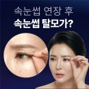 여신속눈썹