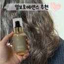 ㈜스마트오일 | 아르간오일 열보호 UP 부스스한 머리 손상모 관리 ㅣ 봄비유 한올 에센스