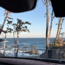 케이시(K.C)마트 | 포항 오션뷰 카라반 *TITF카라반* C-5 후기