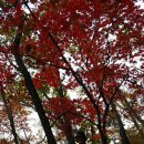 10/22(토) 삼각산 (북한산) ~~레드원대장님 이미지