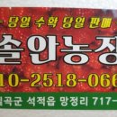 솔안농장 이미지