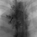 모란마취통증의학과의원 이미지