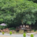 드림모두팜 이미지