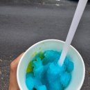 효성농장 | [#대구삼겹살맛집] 수성구맛집 봄결 들안길본점 제주흑돼지목살 먹은 후기