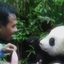 (주)판다 이미지