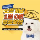 옐레드 부천상동점 이미지