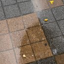 비룡중학교 | 다들 잘 버텨봅시다