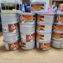 닥터김 동물의료센터 이미지