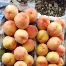 태화농장 이미지