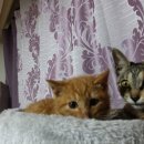 문현여자중학교 이미지