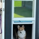 여주-0726 이미지