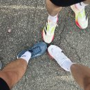 10 | 춘천 마라톤 2025 10km 후기