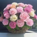 비누꽃 바구니 제작 이미지