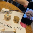 츄르케이크