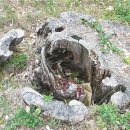 그루터기 이미지