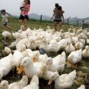 농은목장 이미지