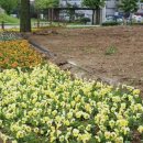 유방어린이공원 이미지