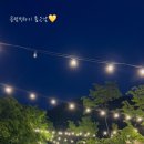 숲속에 머물다 이미지