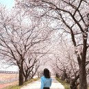 백구소공원 이미지