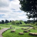 팔도셀프주유소 이미지