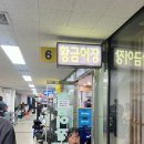 세진상회 | 노량진 겨울철 방어 맛집 청양 수산 횟집|황금 어장 상차림(대기 x)