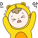 태양(태권도) 이미지