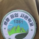 대한임업 주식회사 | 농업회사숲1261주식회사