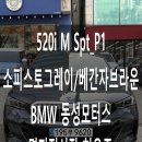 BMW 520i M Spt_P1 (소피스토그레이/베간자 에스프레소 브라운) 출고 후기