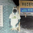 이리부송초등학교 이미지