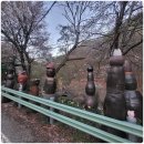 상원골민박 이미지